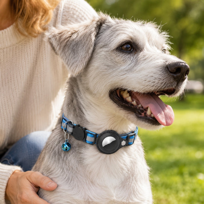 Happy dog and owner with waterproof AirTag collar holder