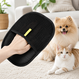Pomeranian and cat next to the pet hair remover glove